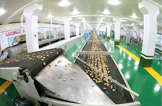 金正恩视察平壤食品厂，肯定国产设备与技术创新成果